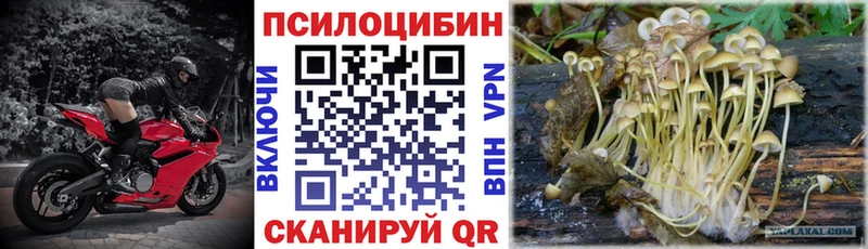 Псилоцибиновые грибы MAGIC MUSHROOMS  МЕГА как зайти  Выборг 